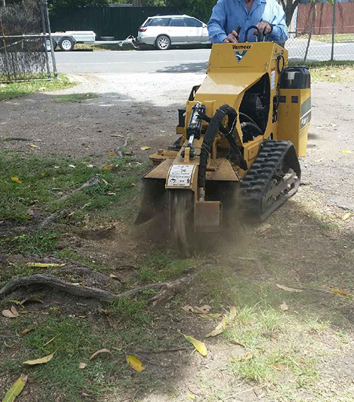 Tree Stumping Services